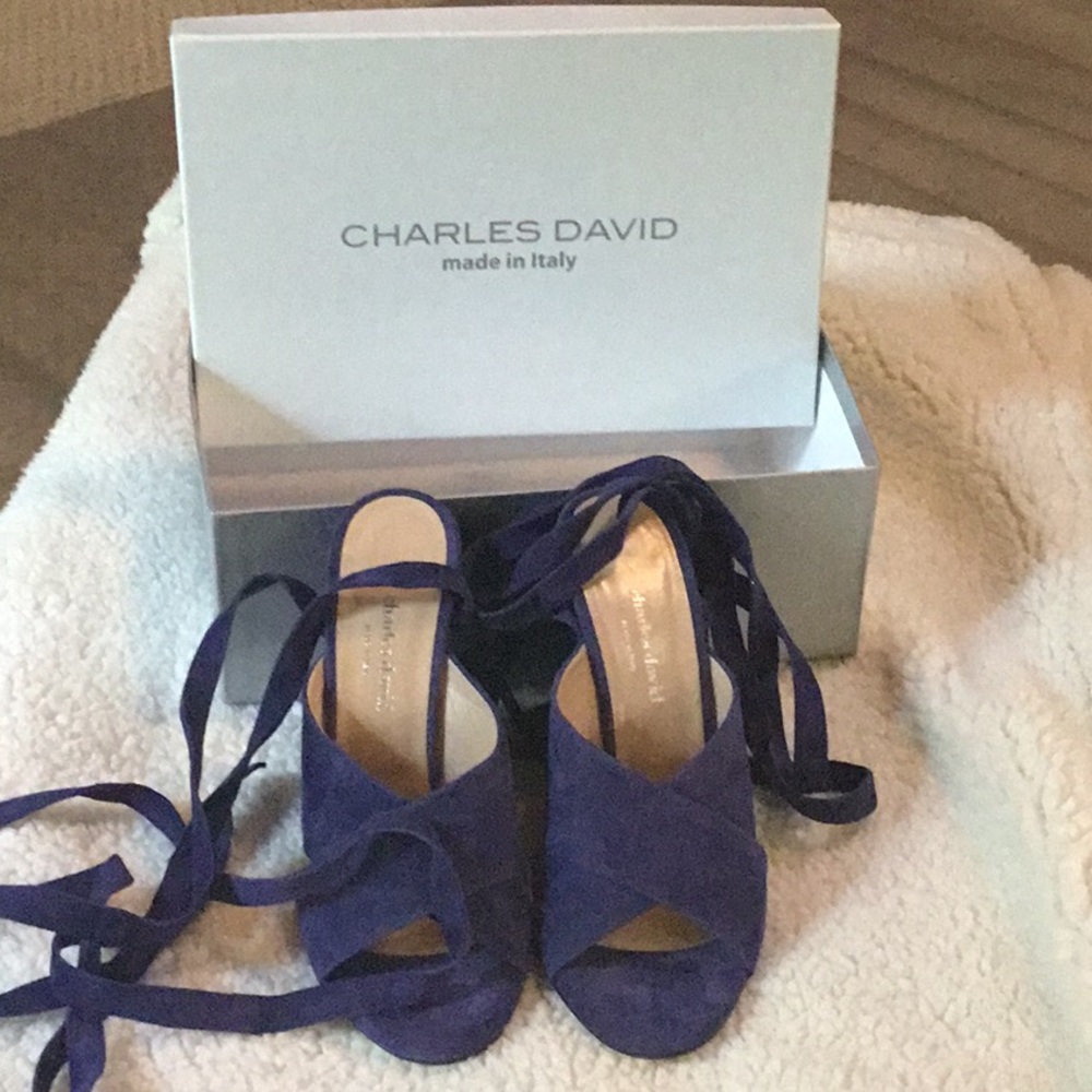 Charles David Blue Sandal